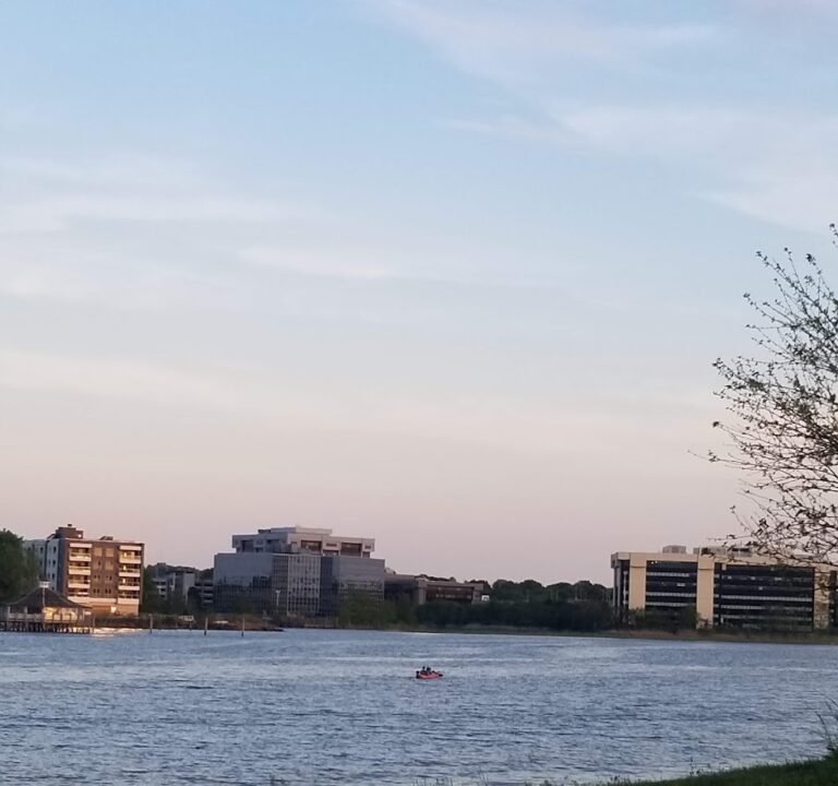 Soccer Field image 2