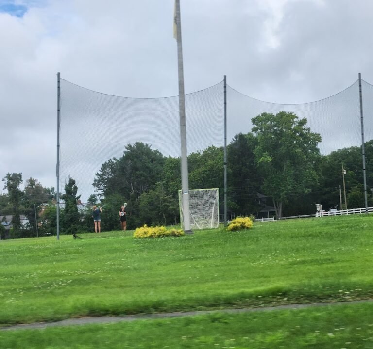 Soccer Field image 3