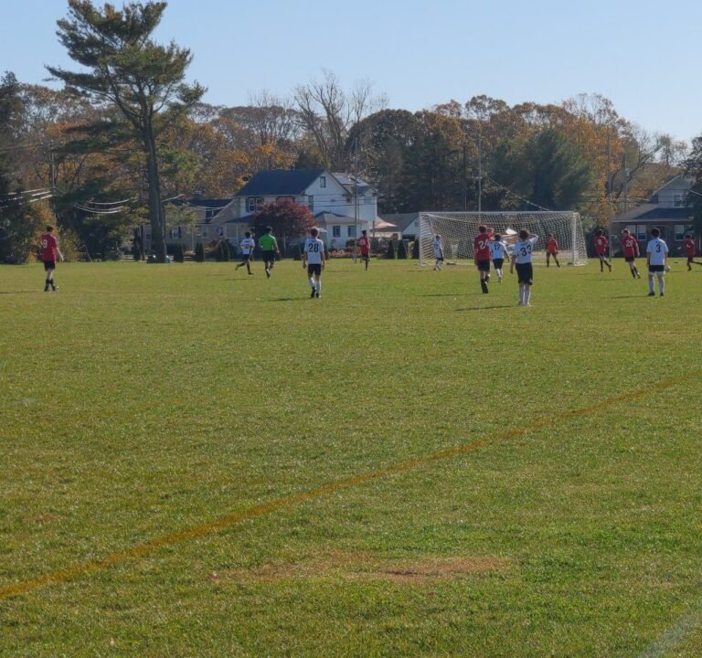 Soccer Field image 2