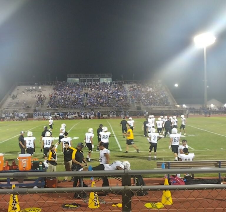 Soccer Field image 2