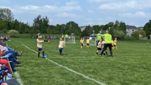 Soccer Field image 1