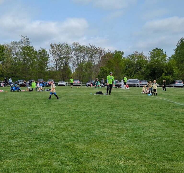 Soccer Field image 3