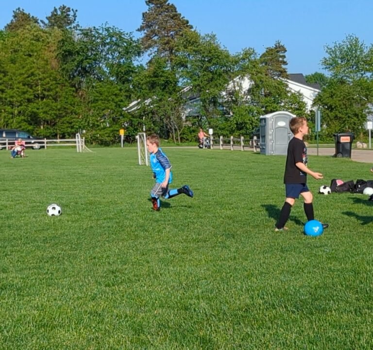 Soccer Field image 2