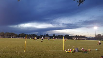 Soccer Field image 1