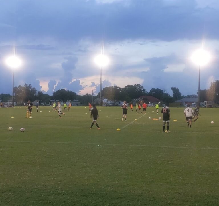 Soccer Field image 3