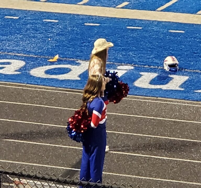 Soccer Field image 3