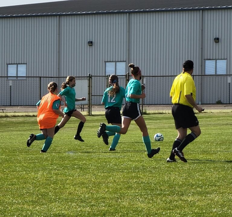 Soccer Field image 3