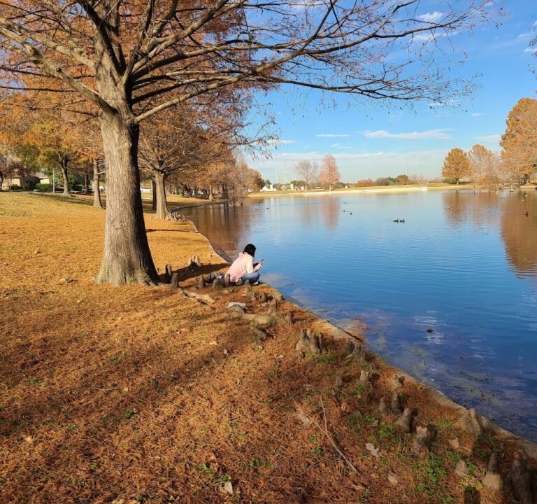 Soccer Field image 2