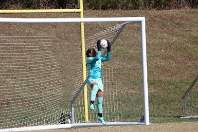 Soccer Field image 1