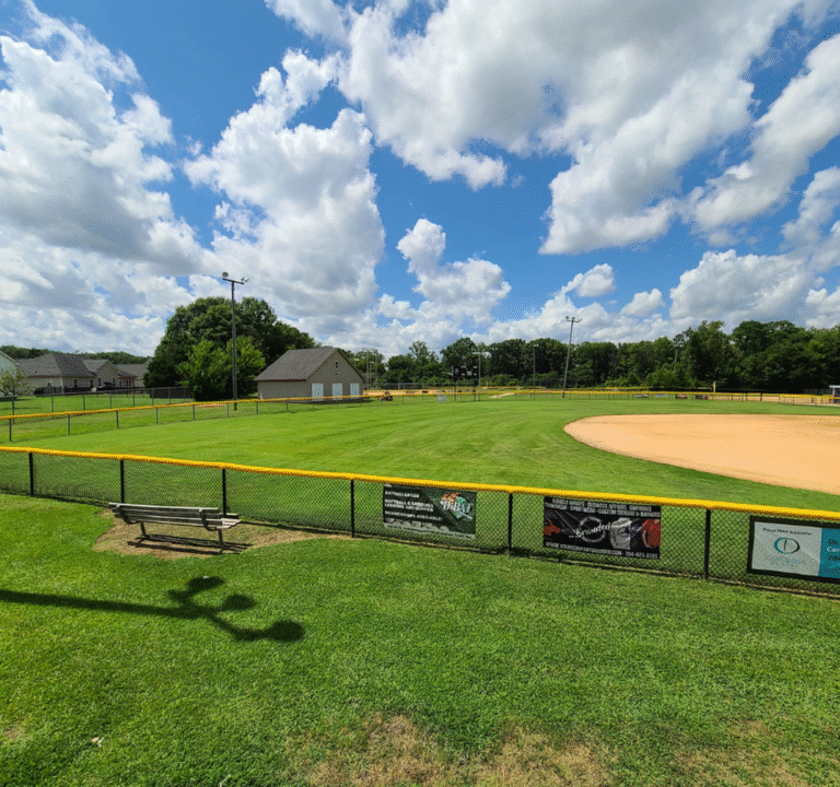 Soccer Field image 2