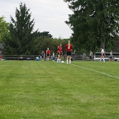 Soccer Field image 1