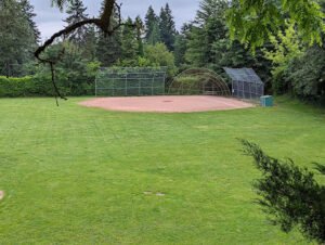 Soccer Field image 1