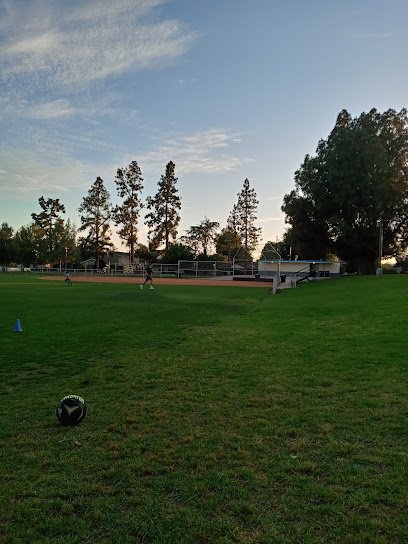 Soccer Field image 1