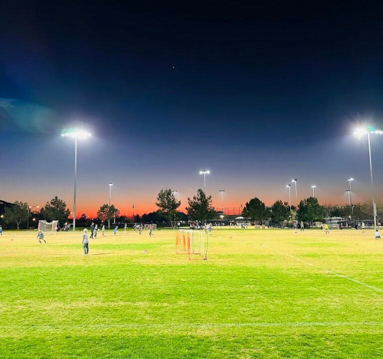 Soccer Field image 3