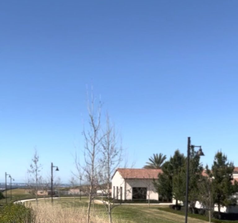 Soccer Field image 4