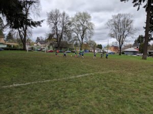 Soccer Field image 1