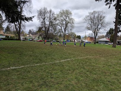 Soccer Field image 1