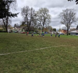 Soccer Field image 3