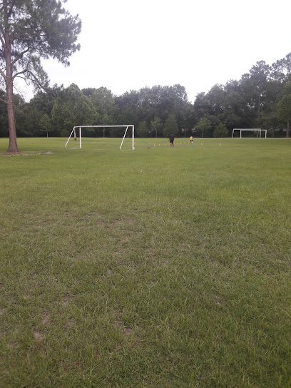 Soccer Field image 1