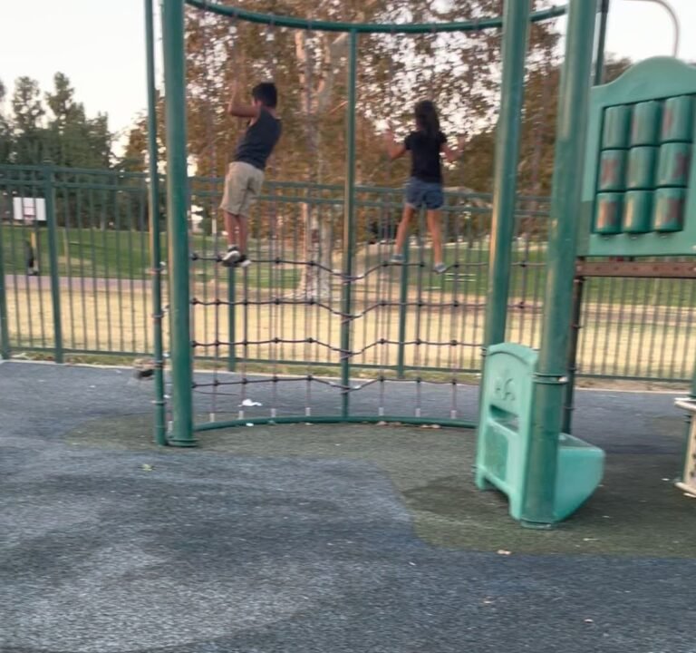 Soccer Field image 4