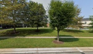 Soccer Field image 1