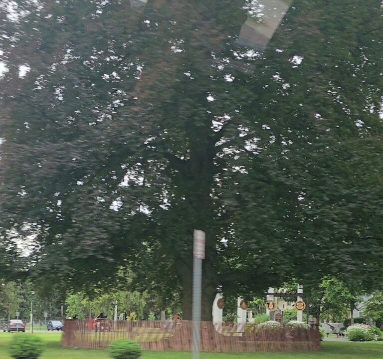 Soccer Field image 4