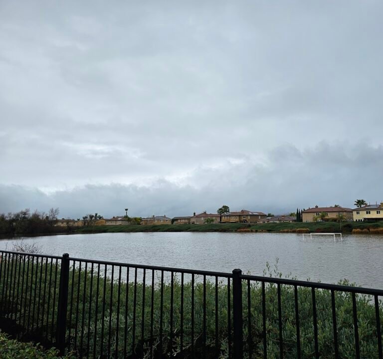 Soccer Field image 2