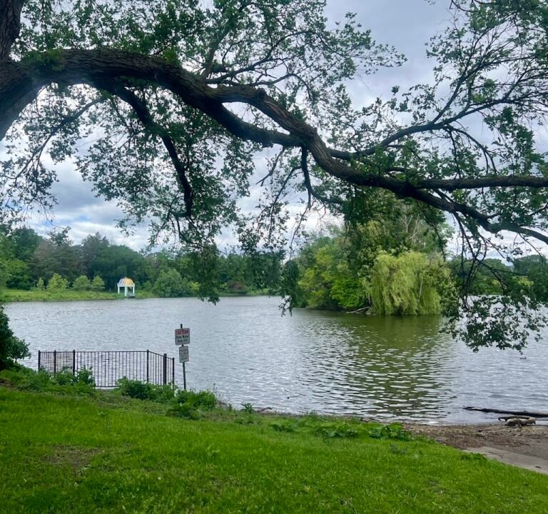 Soccer Field image 3