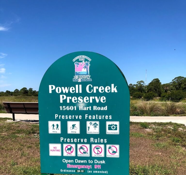 Soccer Field image 2