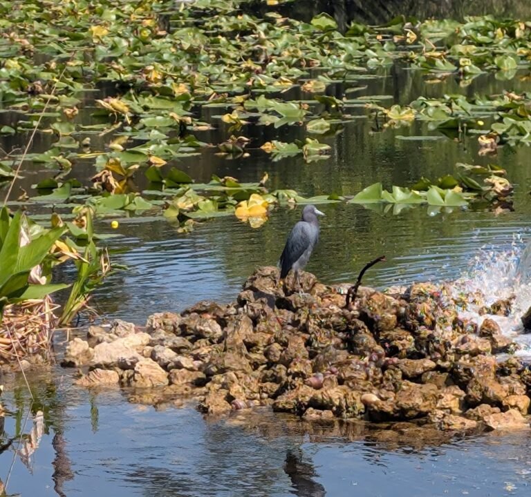 Soccer Field image 3