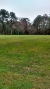 Soccer Field image 1