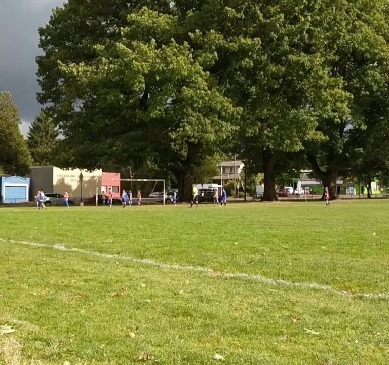 Soccer Field image 4