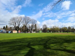 Soccer Field image 1
