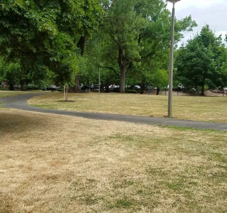 Soccer Field image 3