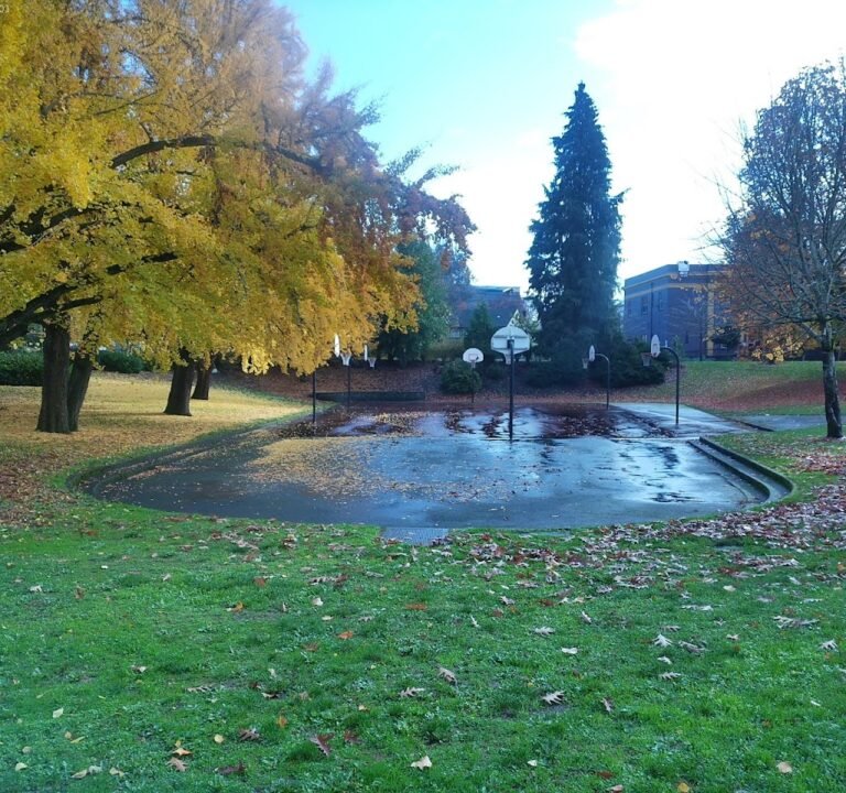 Soccer Field image 2