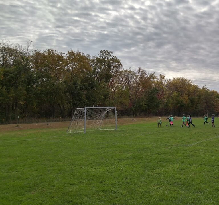 Soccer Field image 2