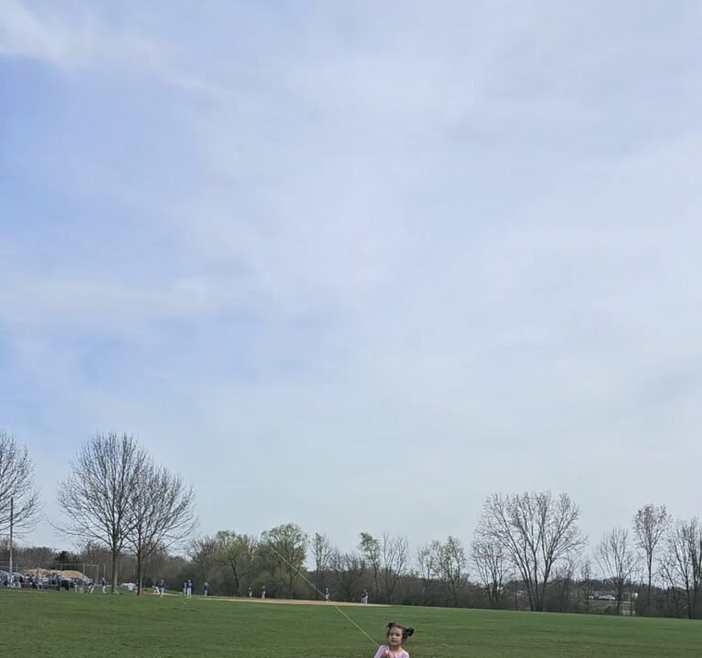 Soccer Field image 4