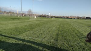 Soccer Field image 1