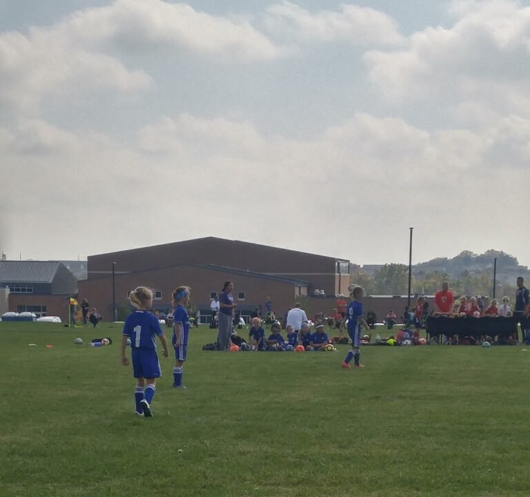 Soccer Field image 2