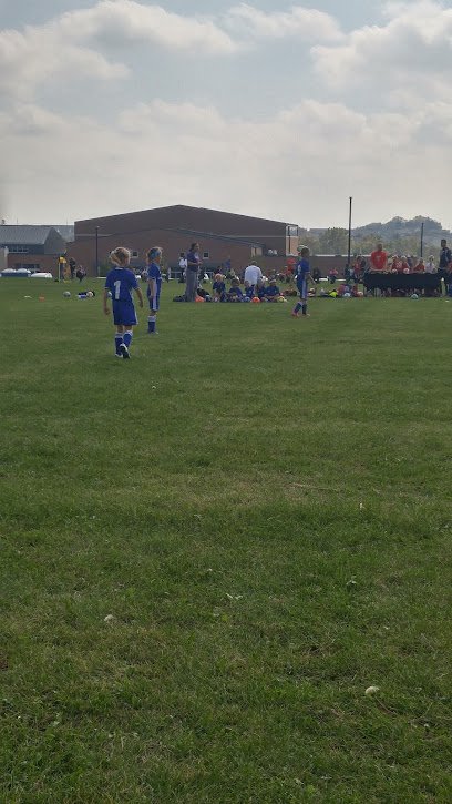Soccer Field image 1