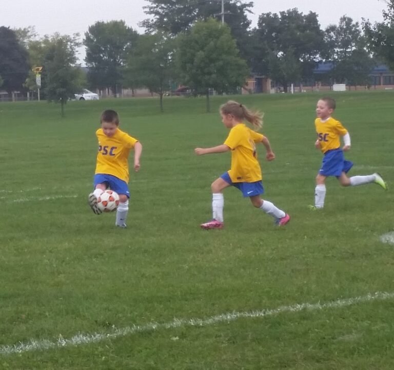 Soccer Field image 3