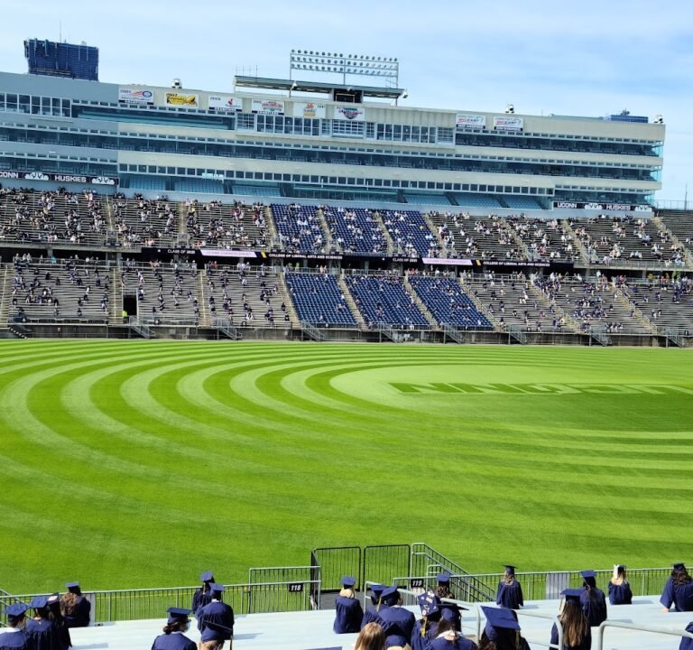 Soccer Field image 2