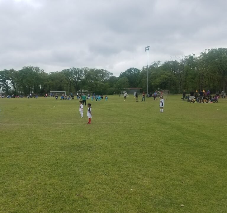 Soccer Field image 3