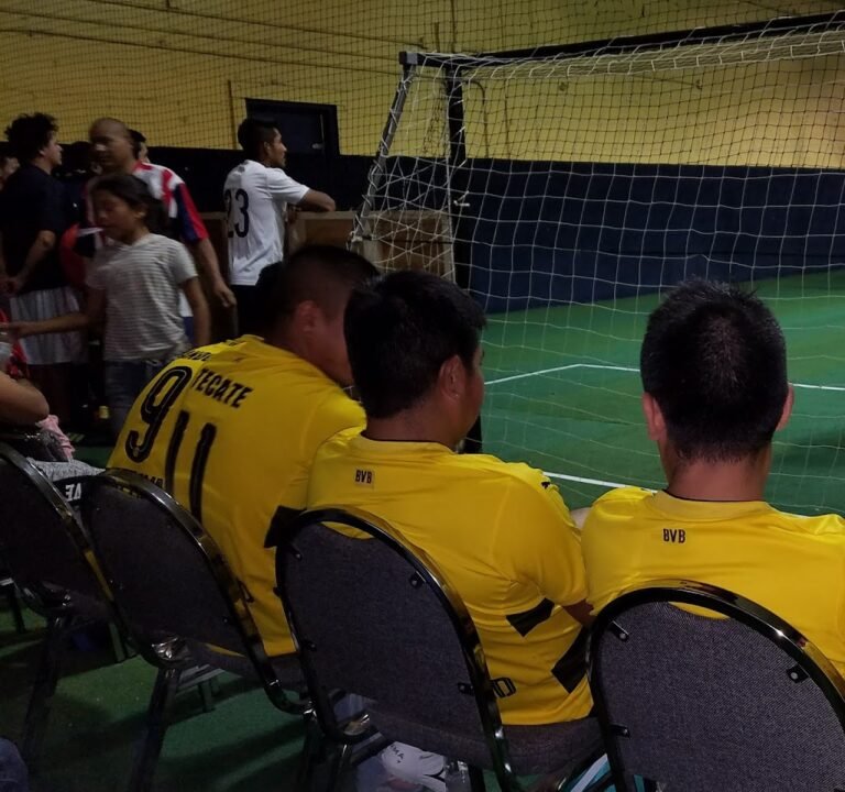 Soccer Field image 3