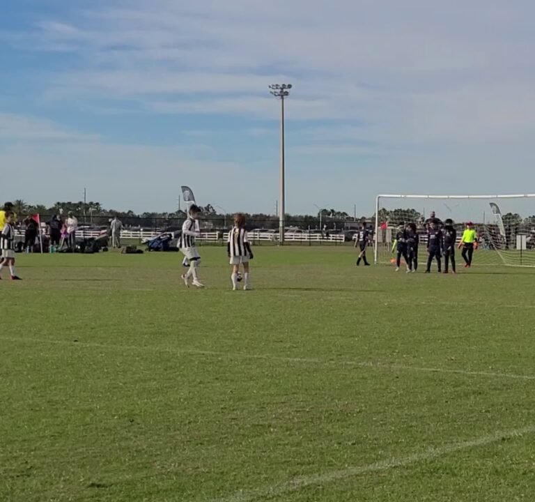 Soccer Field image 4