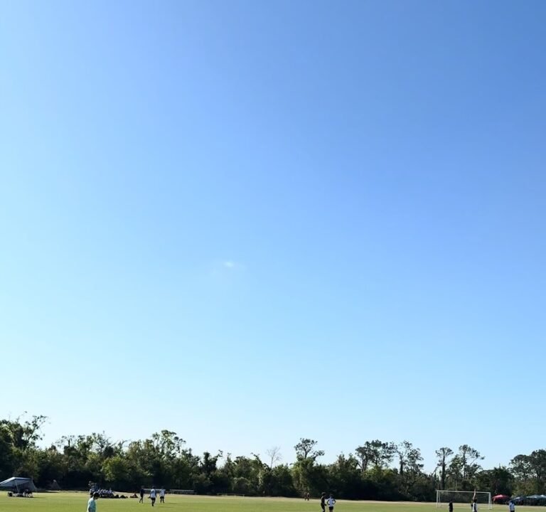 Soccer Field image 3