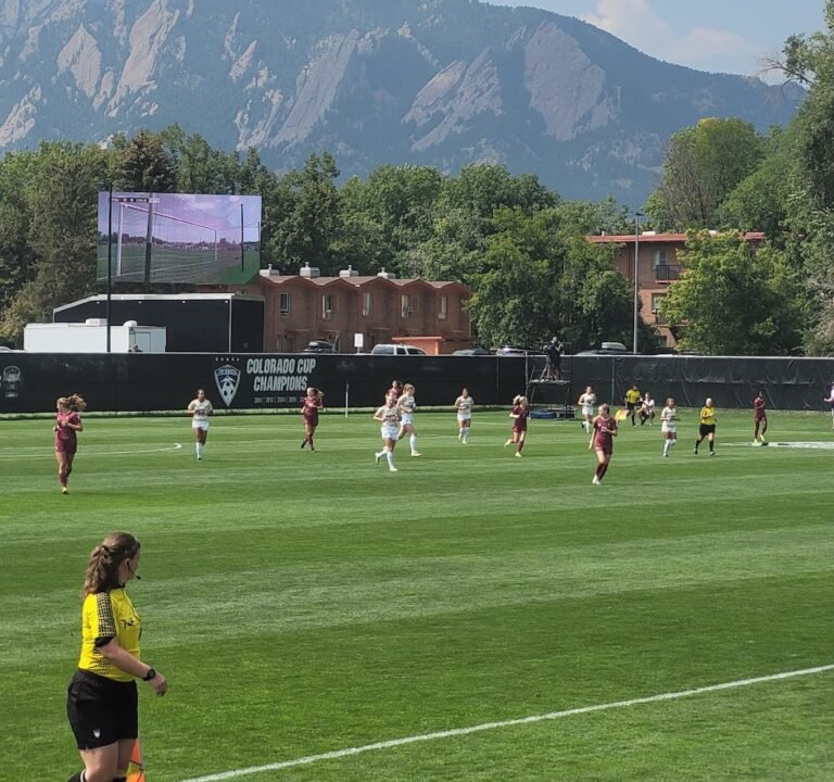 Soccer Field image 3