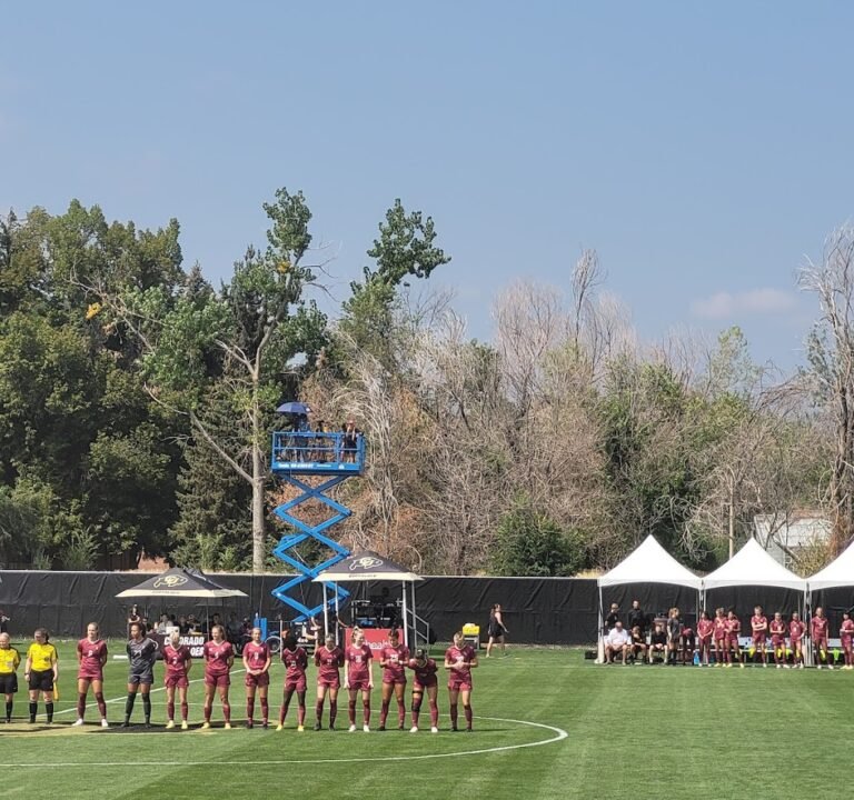 Soccer Field image 2