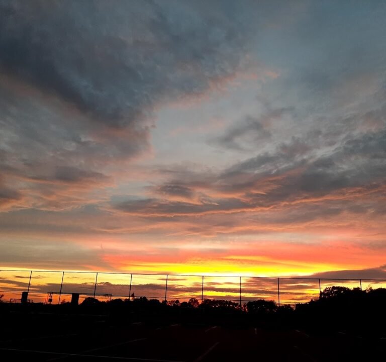 Soccer Field image 3