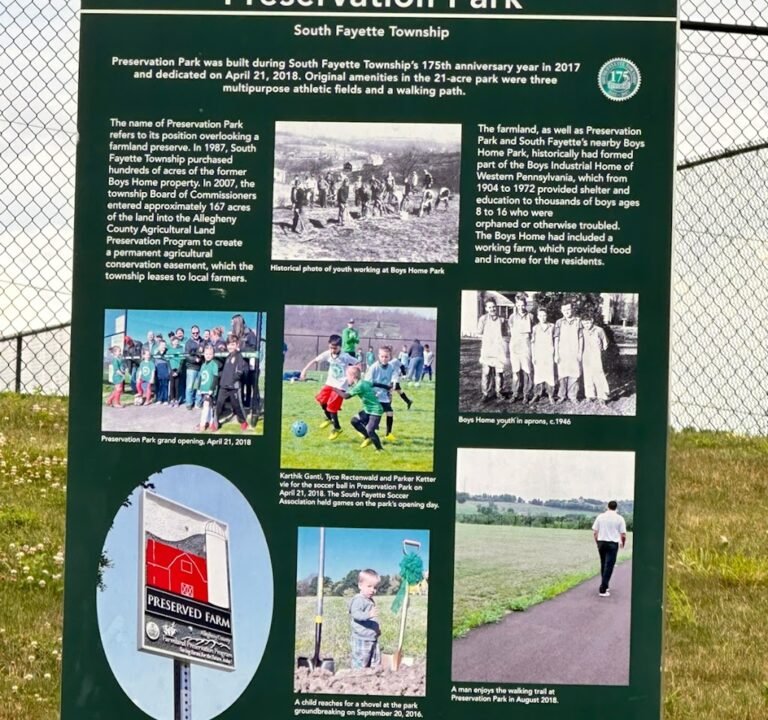 Soccer Field image 2